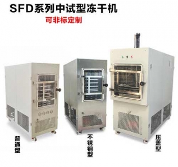 中試型真空冷凍干燥機(jī)SFD系列