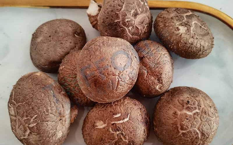 香菇凍干：食用菌凍干技術(shù)介紹及應(yīng)用