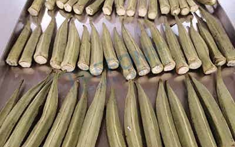 秋葵凍干：蔬菜凍干技術(shù)應(yīng)用秋葵冷凍干燥加工